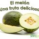 El melon una fruta deliciosa