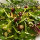 Ensalada con granada