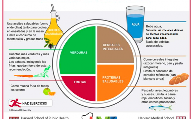El plato saludable  o “plato de Harvard “